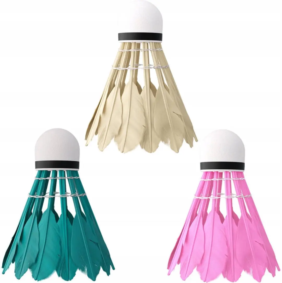 Nils Badmintonset - 2 Rackets, Hoes & 6 Shuttles Multicolor