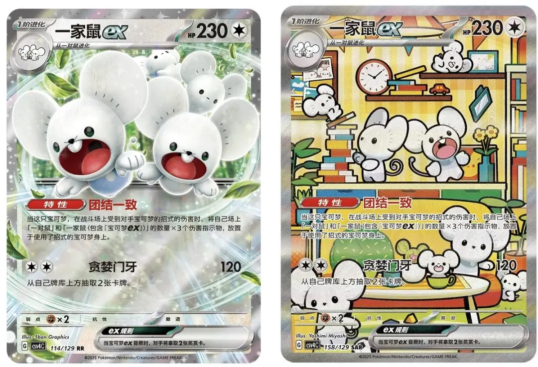 Pokémon Reward Round Slim Booster Box CSV4
