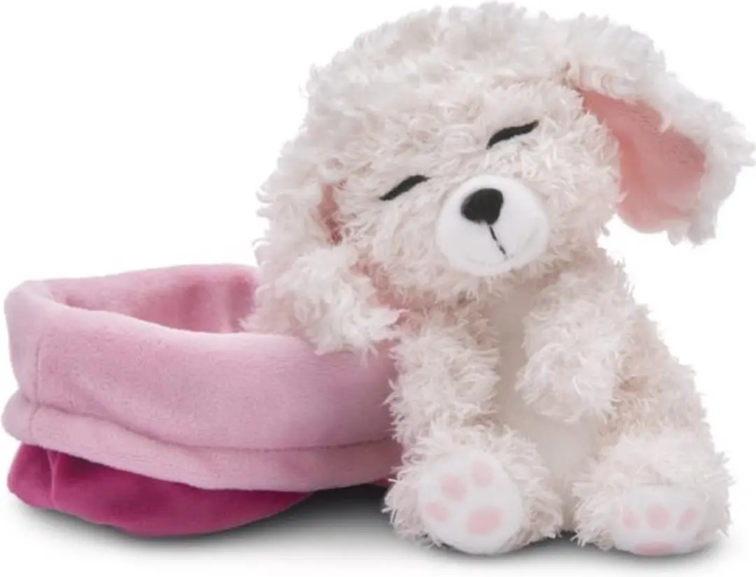 Nici Poodle Hond Slaapt In Mand Teddy 12cm