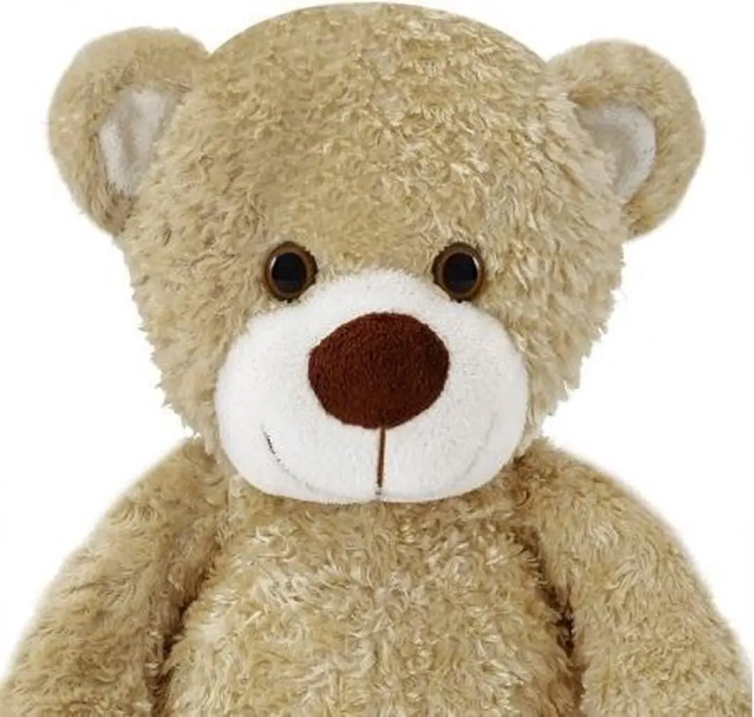 Monzana Pluche Beer Jonas 35cm - Bruin