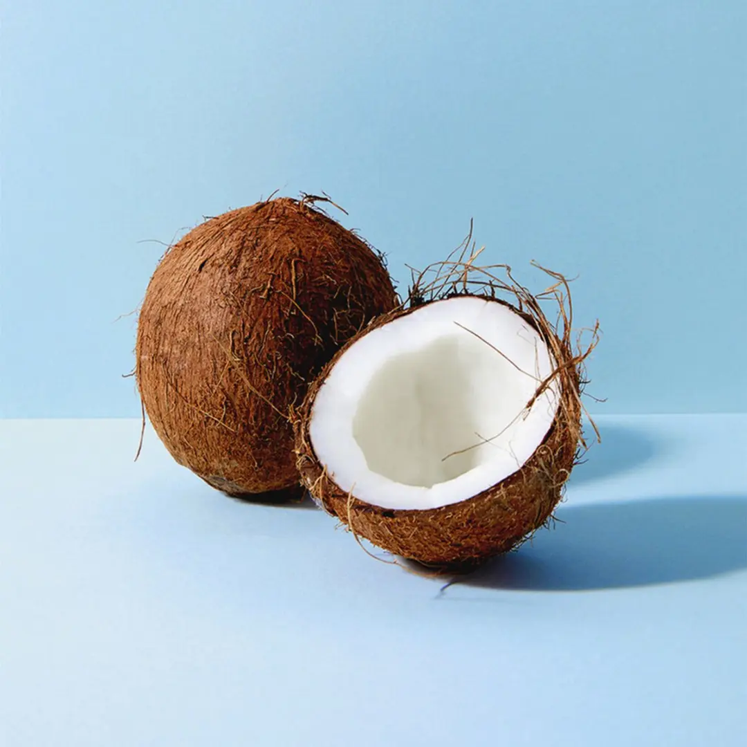 NIVEA Coconut & Jojoba Douchegel 500ml - Kokosgeur