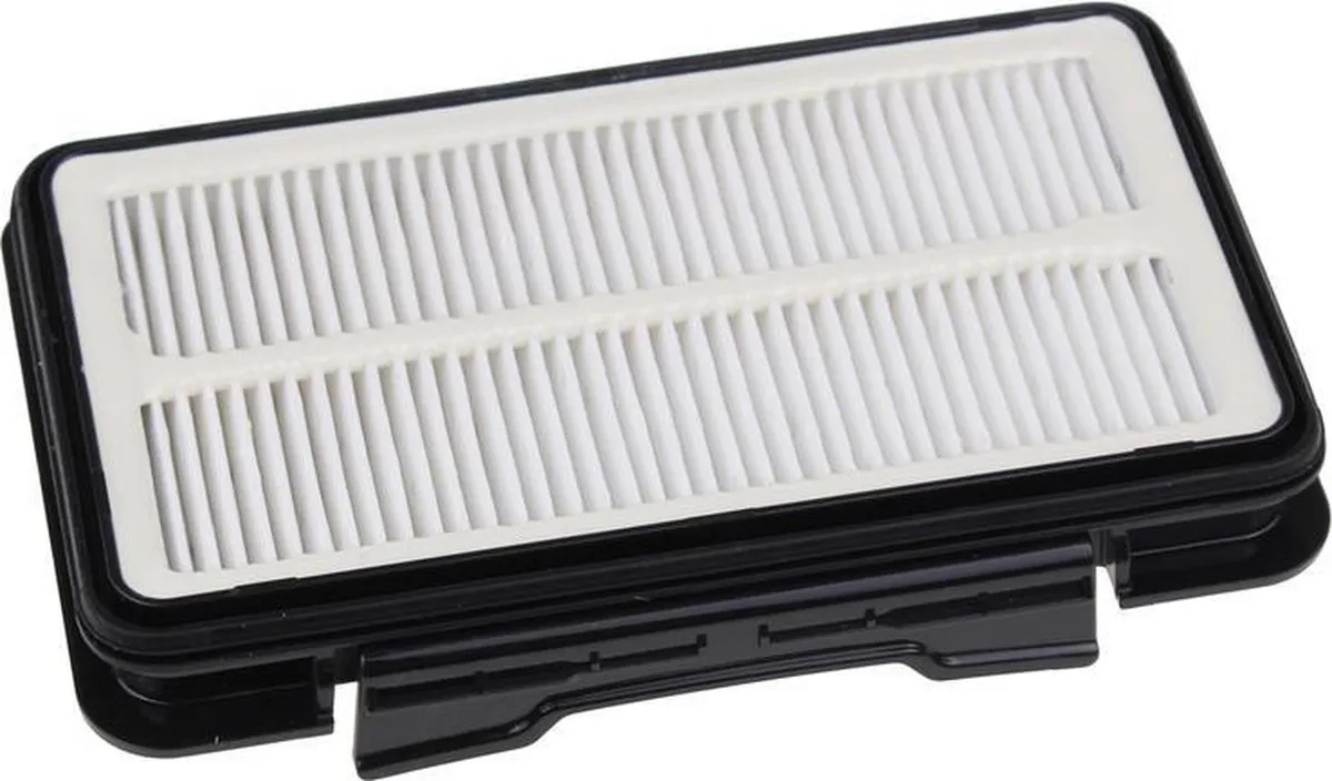 Rowenta ZR902501 HEPA 13 Filter