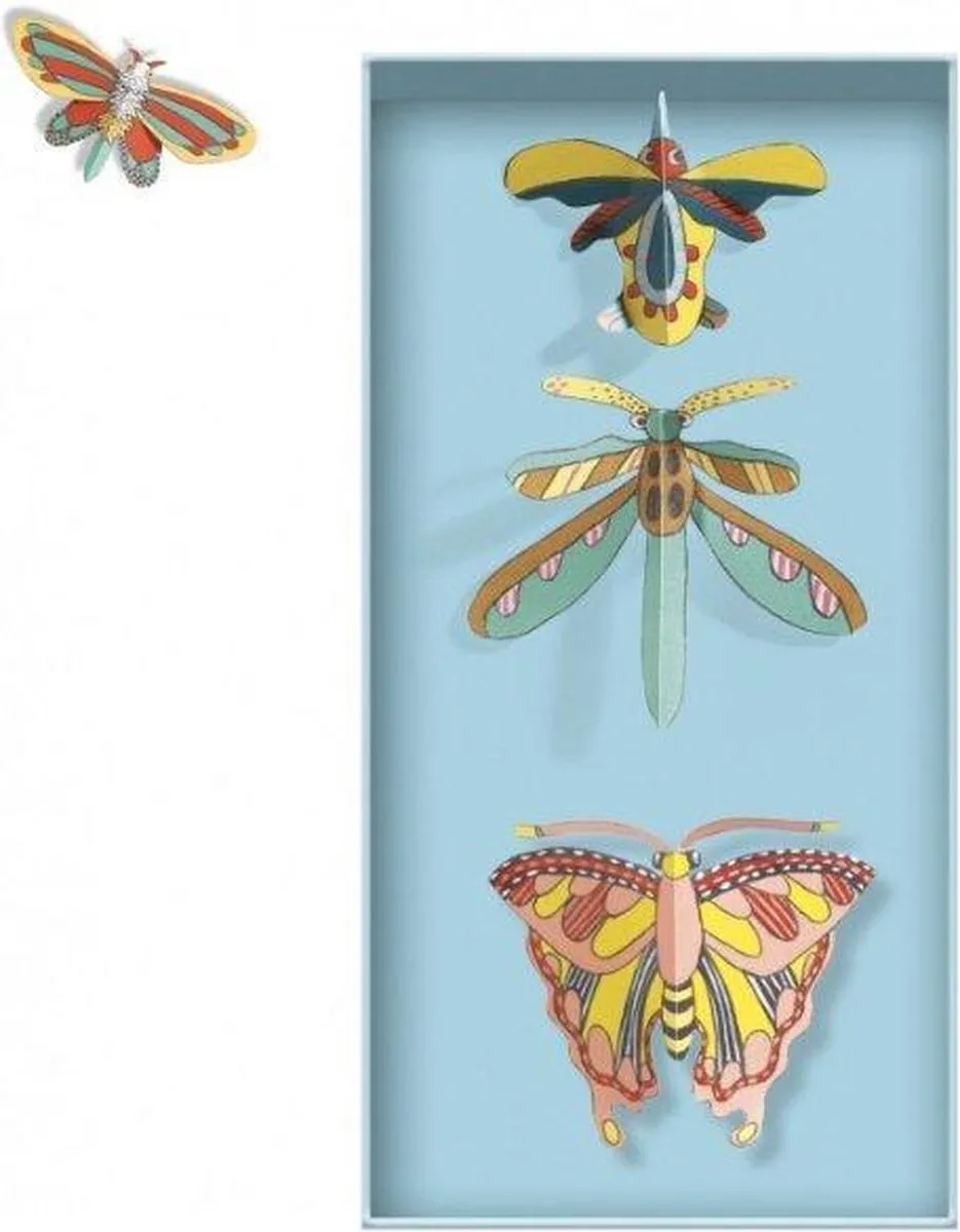 Djeco Cabinet of Curiosities Knutselset