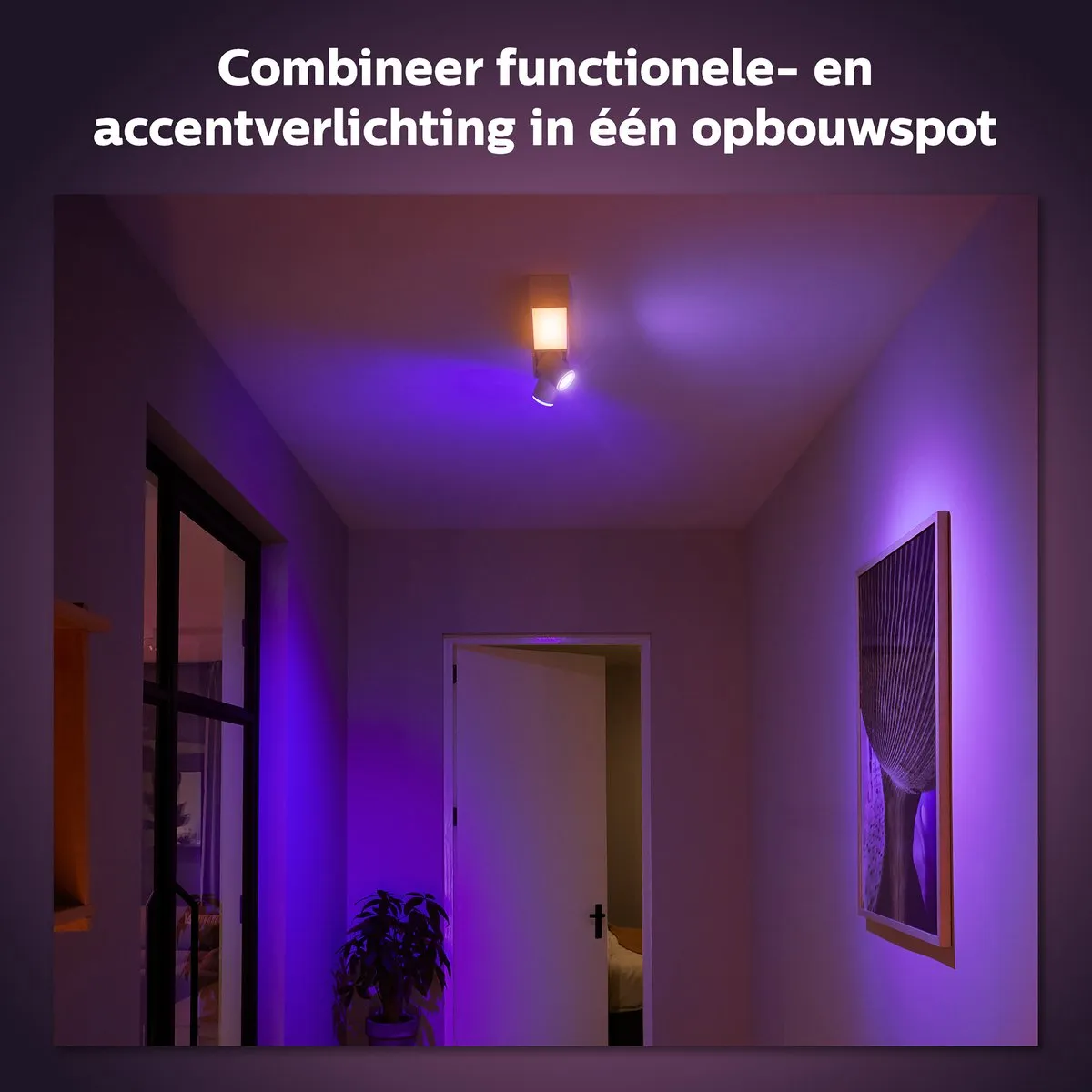 Philips Hue Centris Opbouwspot 2-spots RGBW - Wit