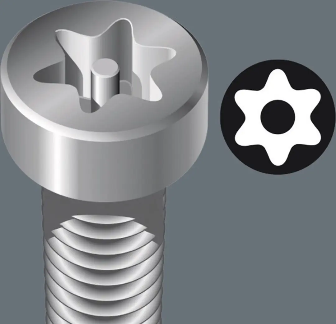 Wera T10x89mm Torx Bit met boring