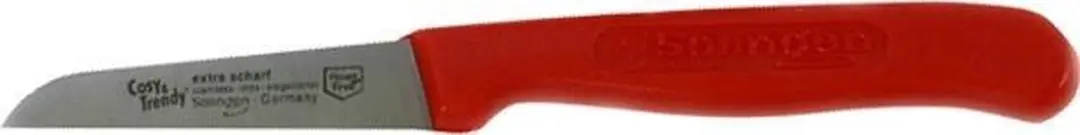 Cosy&Trendy Schilmes RVS - 2 Stuks - Rood