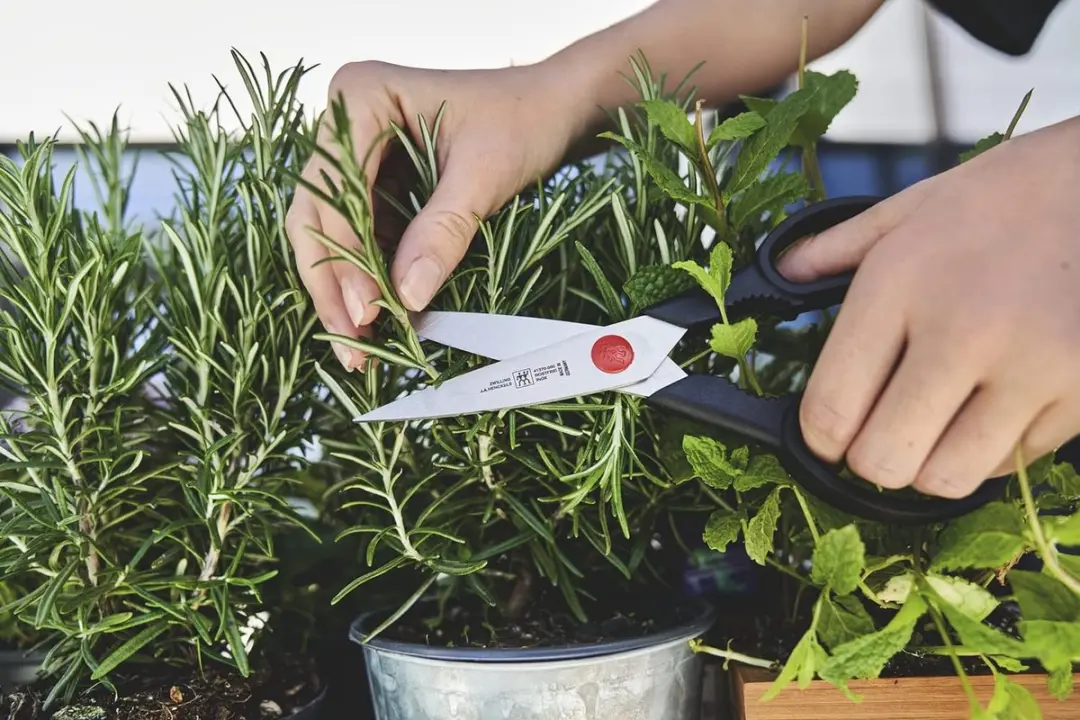 Zwilling Twin L Multifunctionele Schaar 20cm - Roestvrij staal