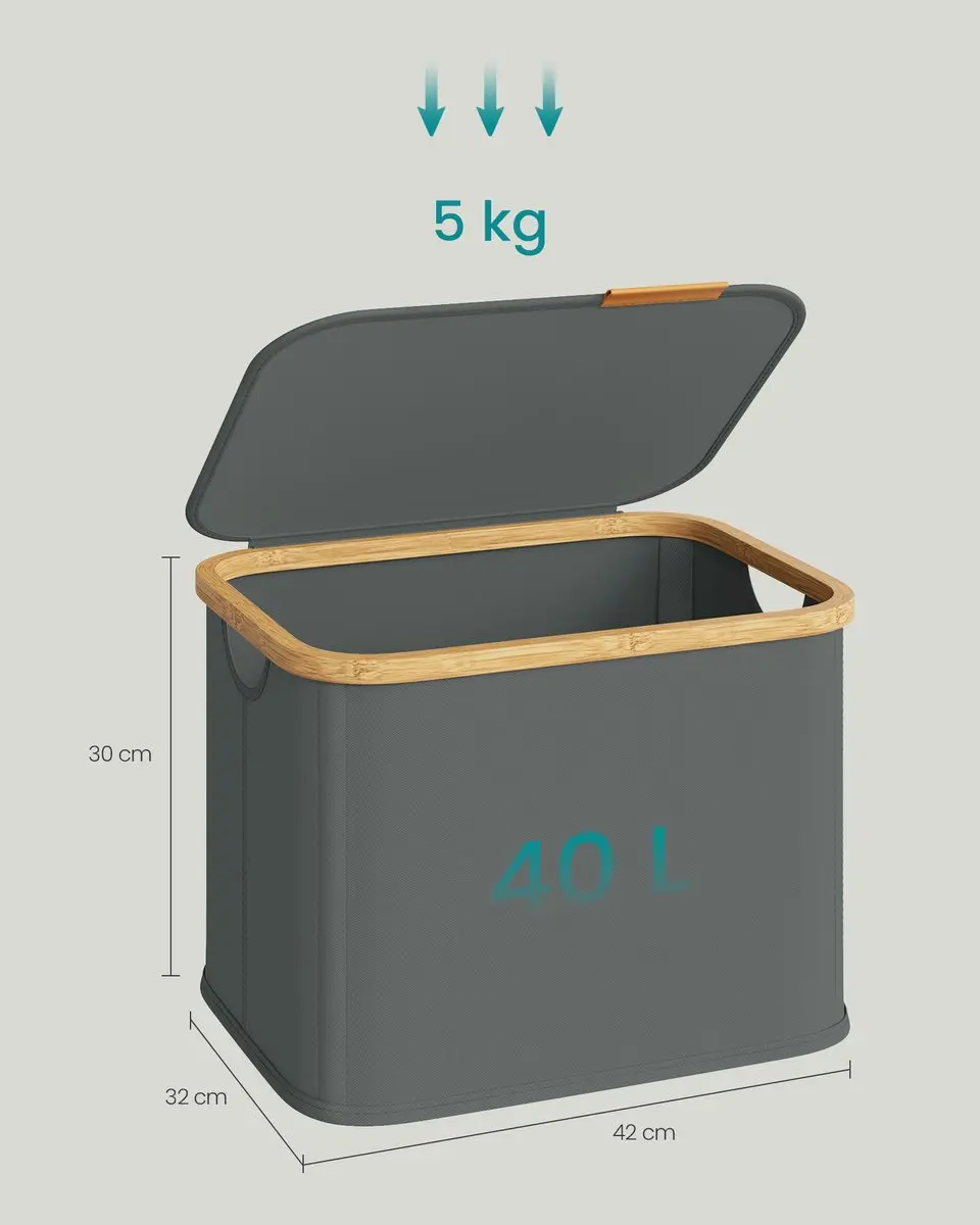 Songmics Wasmand met Deksel 40L - Opvouwbaar - 2 Vakken