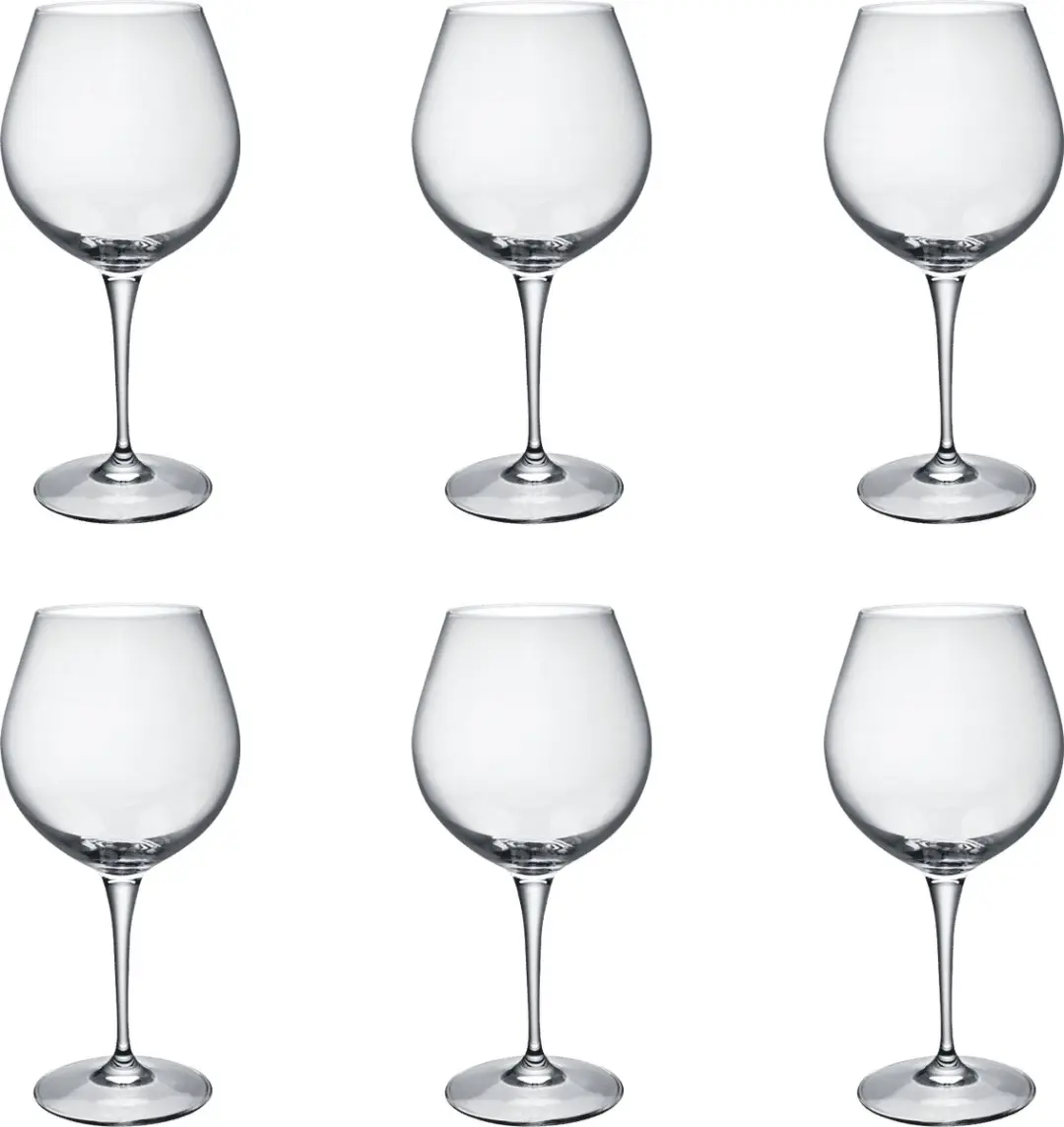 Bormioli Premium Wijnglas BI170011-BF9 - Set van 6