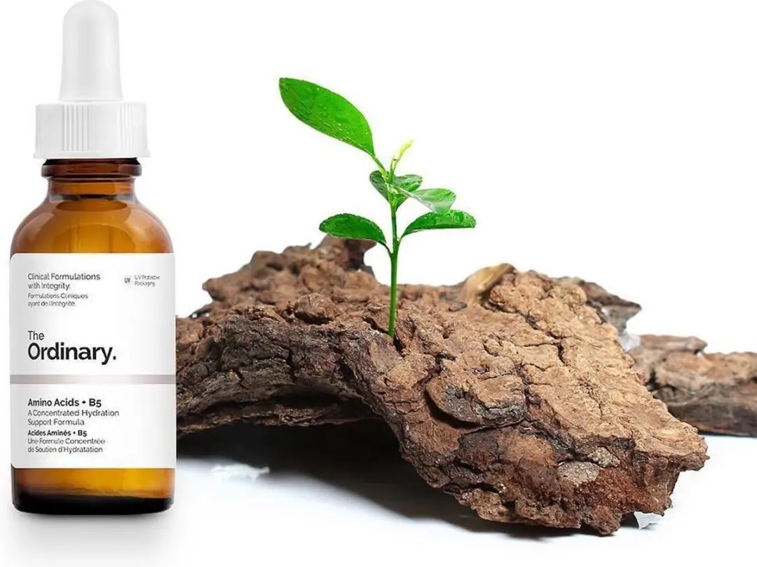 The Ordinary Amino Acids + B5 Serum 30ml