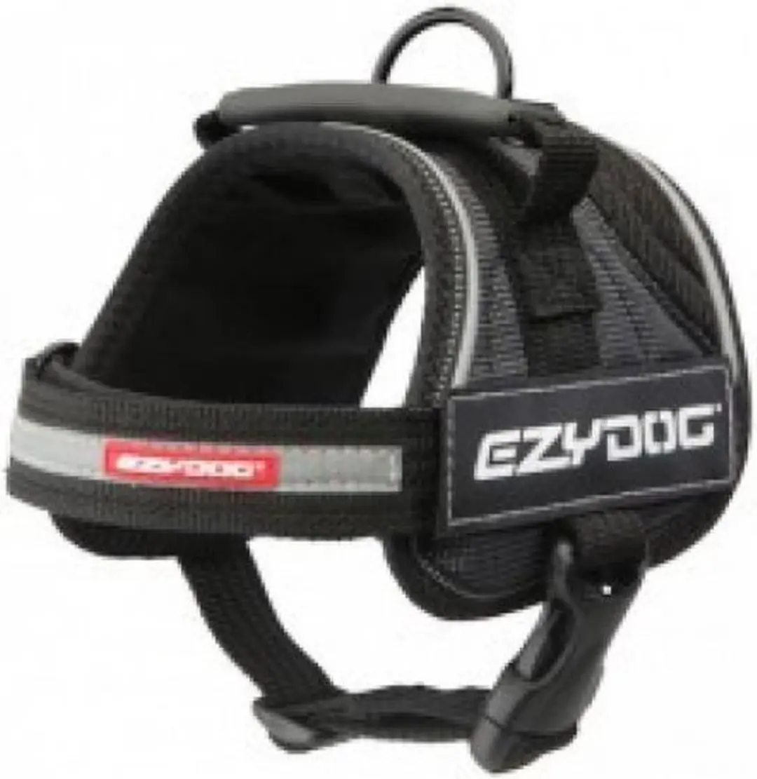 Ezydog Harnas Side Patch Girlpower - 2 Stuks 16x5cm - Wit/Zwart