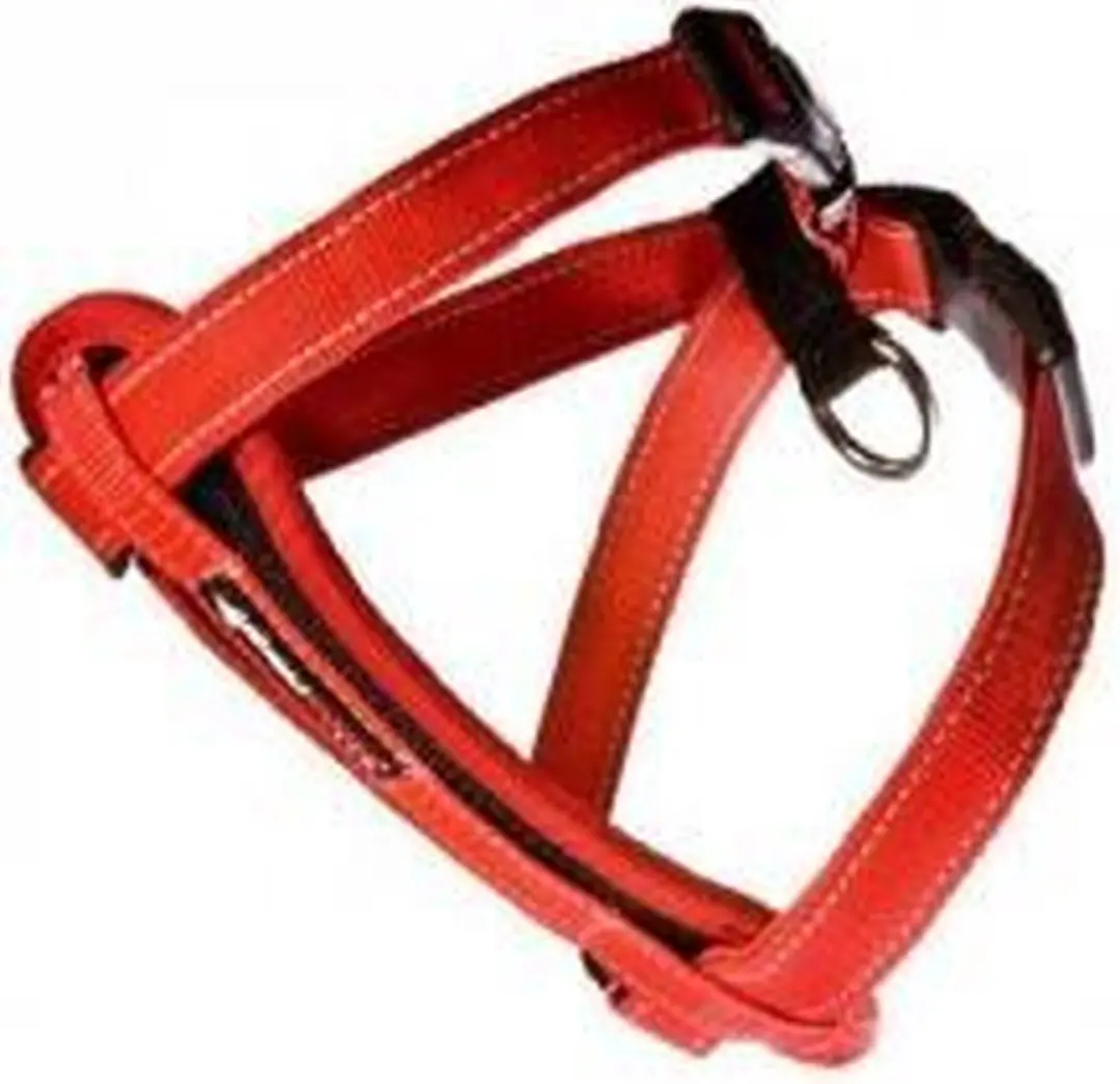Ezydog Chest Plate Harnas - S - Rood