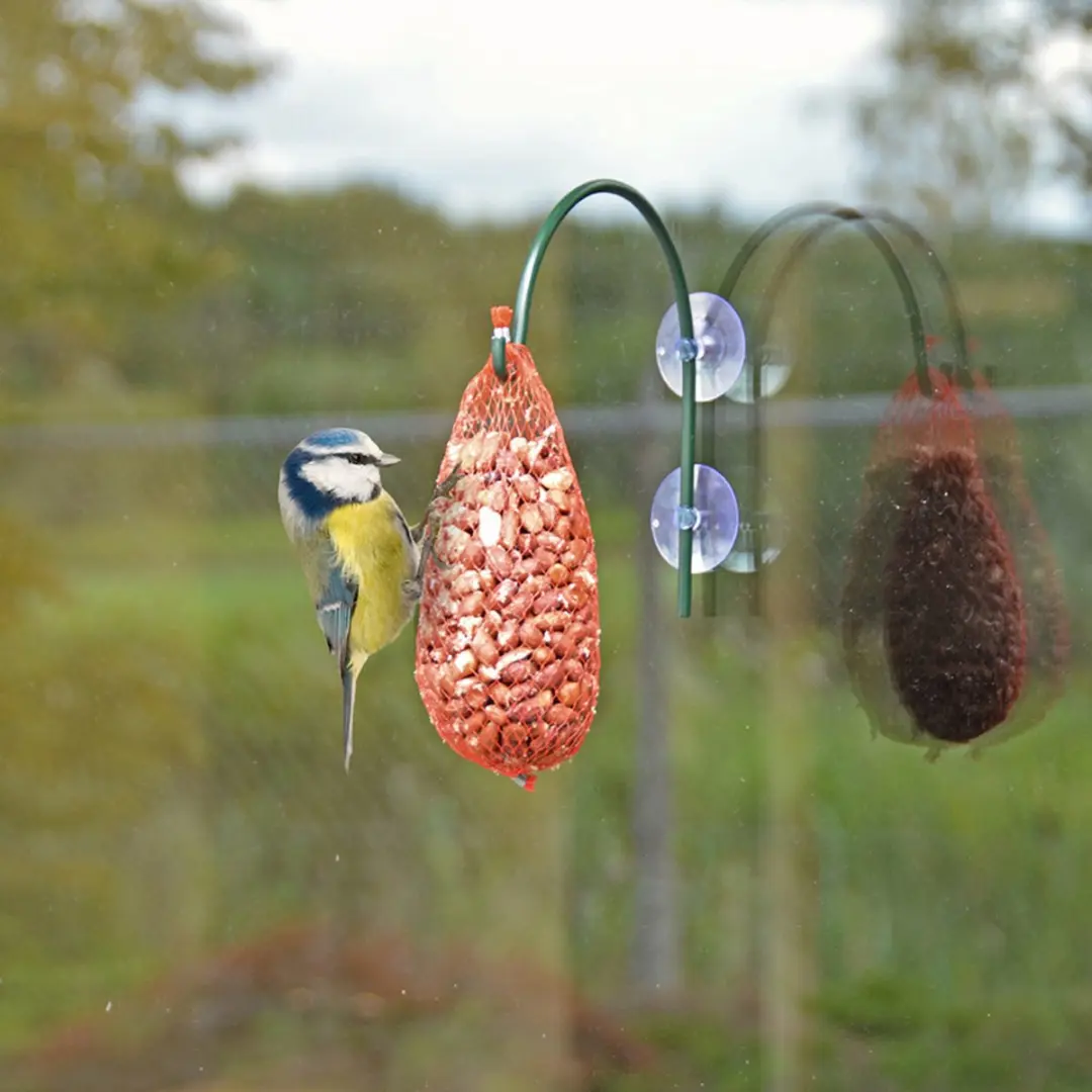 Esschert Design Raamhaak Vogelvoer 16cm - Groen