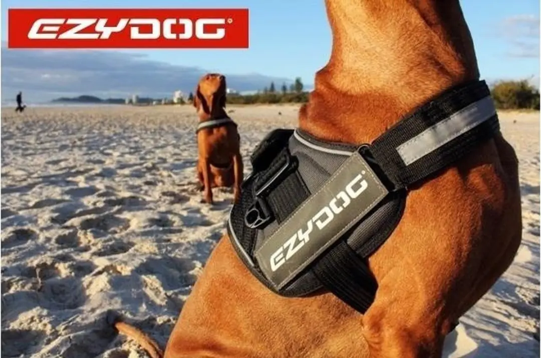 Ezydog Convert Hondenharnas 38-43cm - Grijs