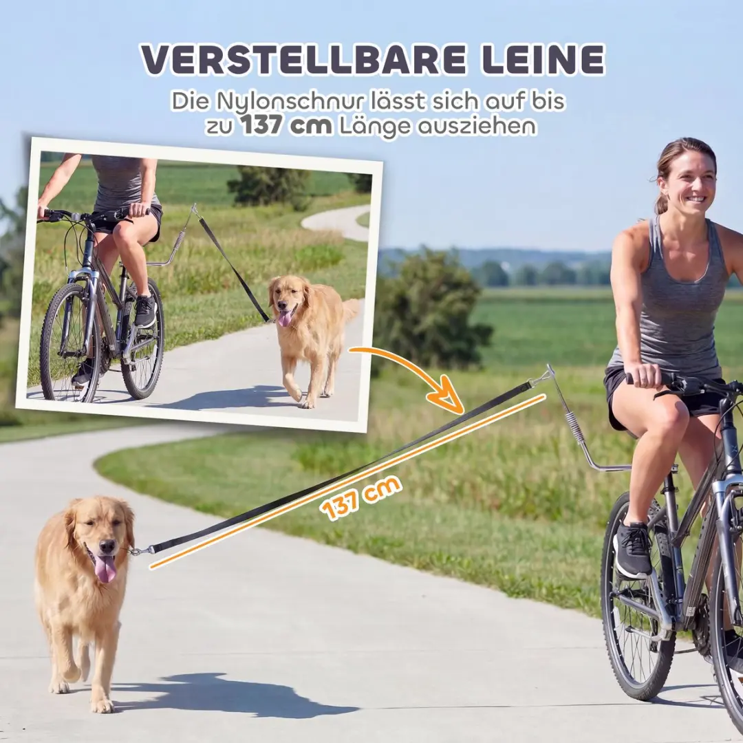 Pawhut Hondenfietslijn Roestvrij Staal - 180x180x180cm Zilver