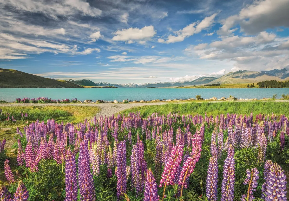 Clementoni Lupines aan Lake Tekapo Puzzel 1500 Stuks - Multikleur