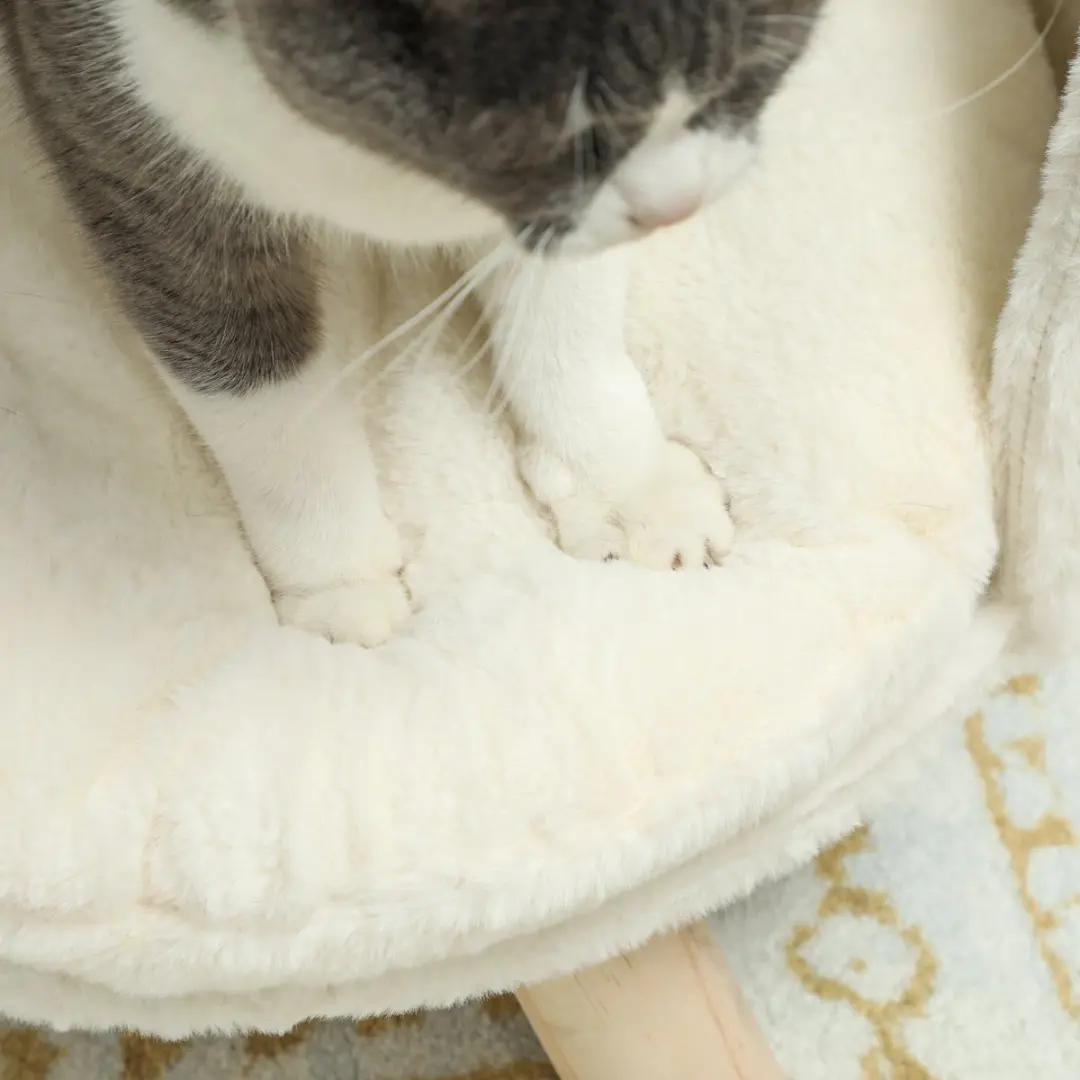 Pawhut Kattenbank met Kussen - 40,5x40,5x33cm - Crèmewit