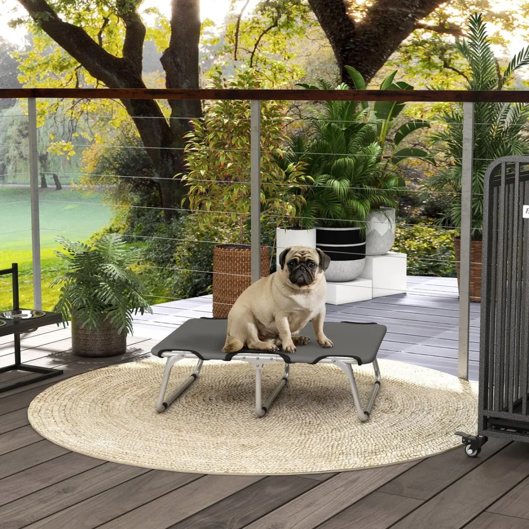 Pawhut Verhoogd Hondenbed Outdoor - 71x58x20cm - Grijs