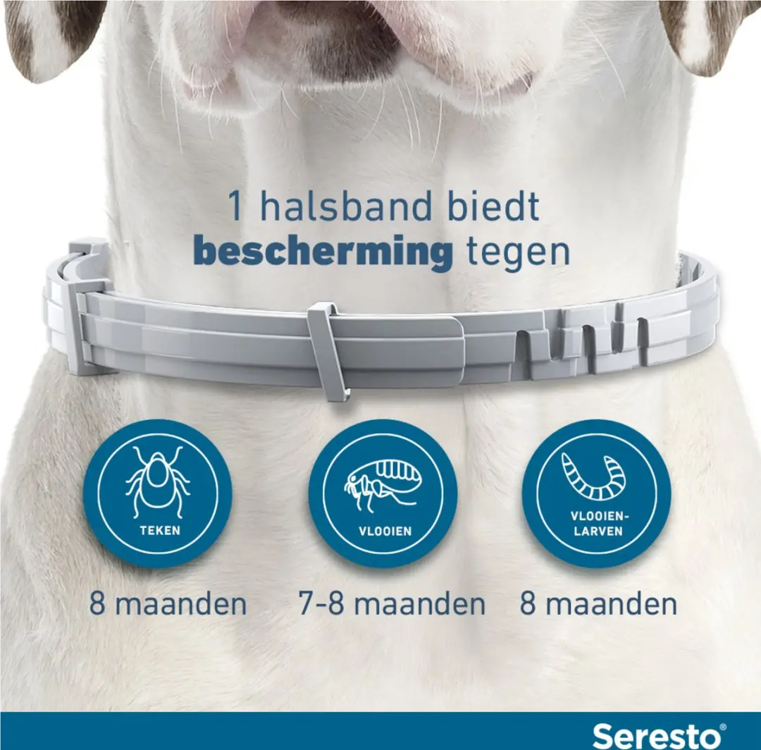 Seresto Teken- en Vlooienband Large - 2 Stuks