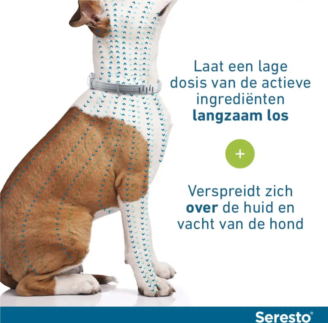 Seresto Teken- en Vlooienband Large - 2 Stuks