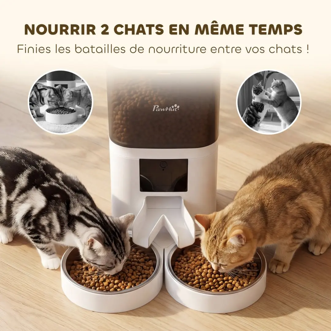 Pawhut Automatische Voerdispenser Kat - ABS/Wit - Roestvrij Staal - afbeelding 6 van 6