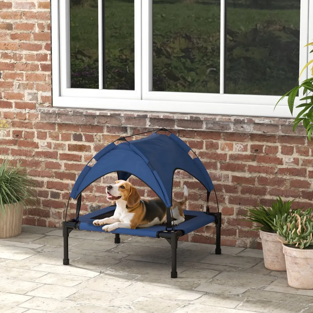 Pawhut Verhoogd Hondenbed met Baldakijn - 76x61cm - Blauw