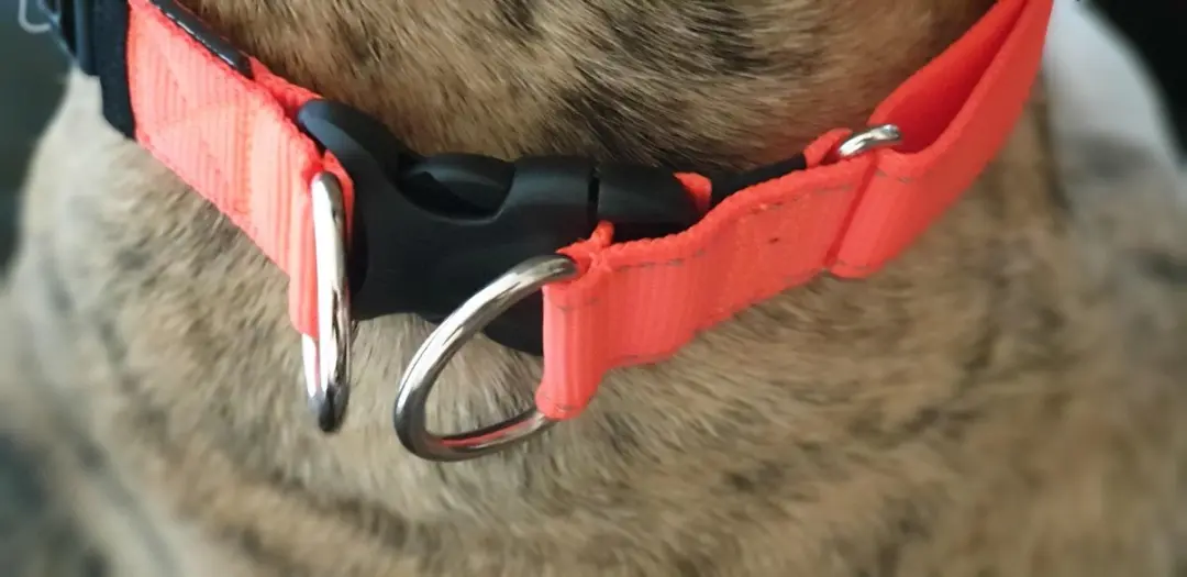 Ezydog Double Up Halsband - XL - Blaze Orange