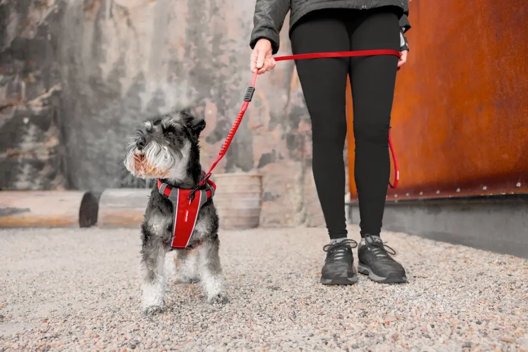 Ezydog X Link Honden Tuigje XS - Roze