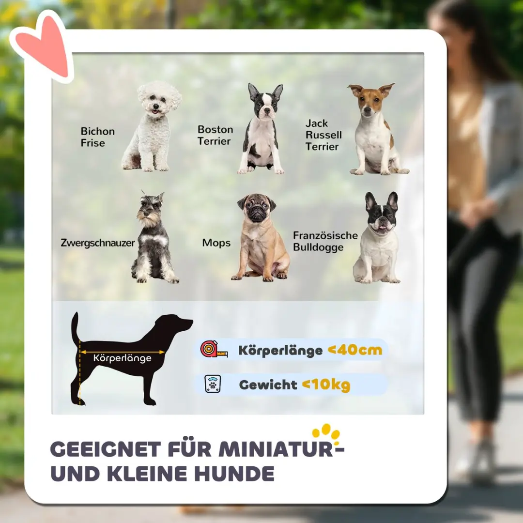 Pawhut Hondenbuggy inklapbaar - Grijs