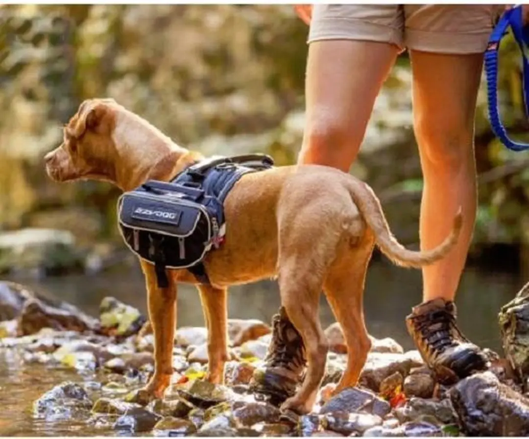 Ezydog Convert Saddele Bags HCSBS - Maat S - Zwart