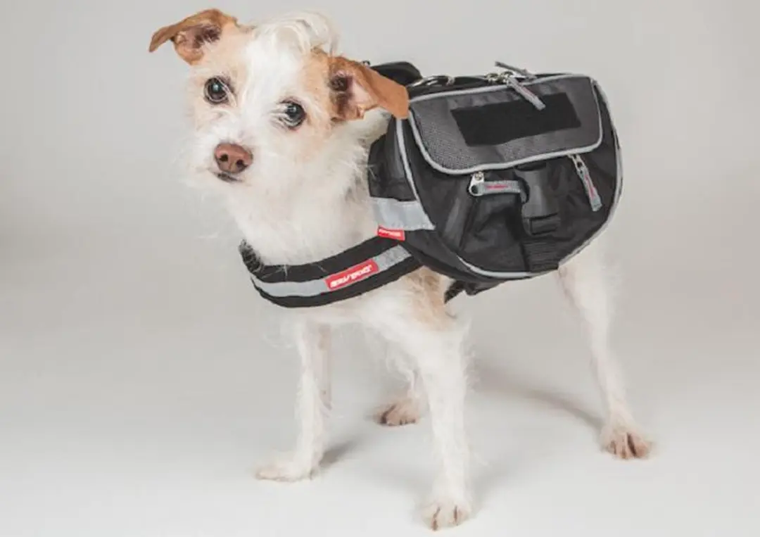 Ezydog Convert Saddele Bags HCSBS
