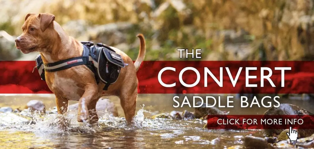 Ezydog Convert Saddele Bags HCSBS - Maat S - Zwart