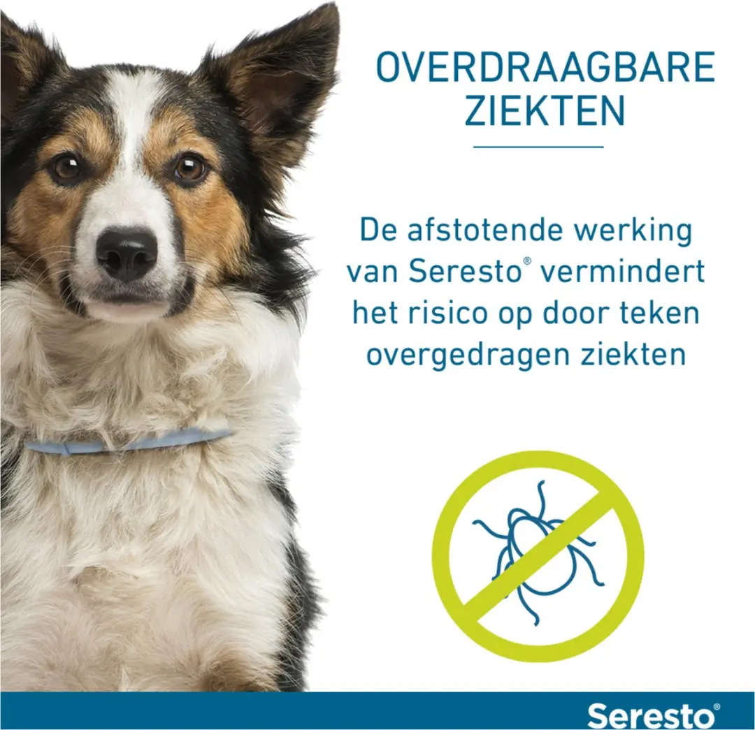 Seresto Teken- en Vlooienband Small - 2 Stuks