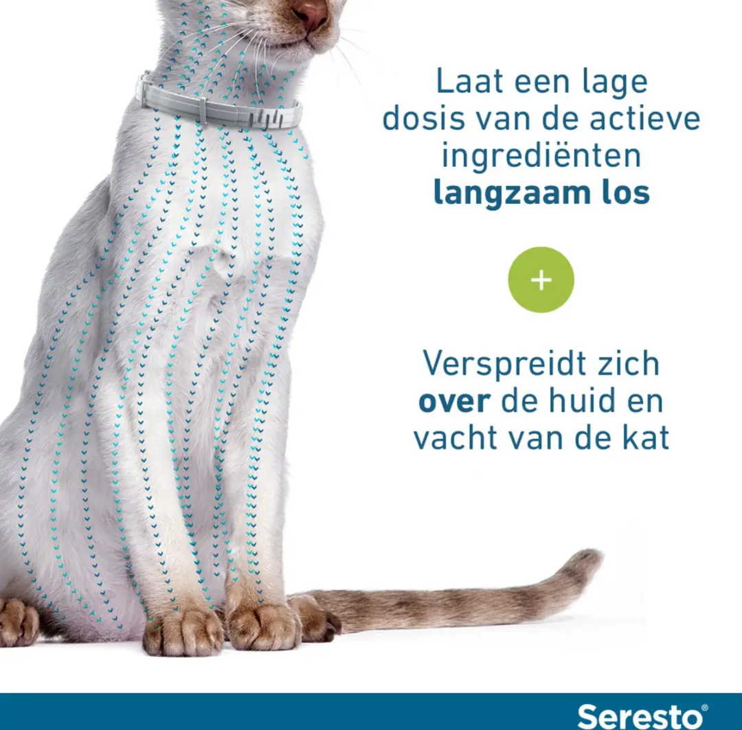Seresto Teken- en Vlooienband Kat 38cm - 2 Stuks