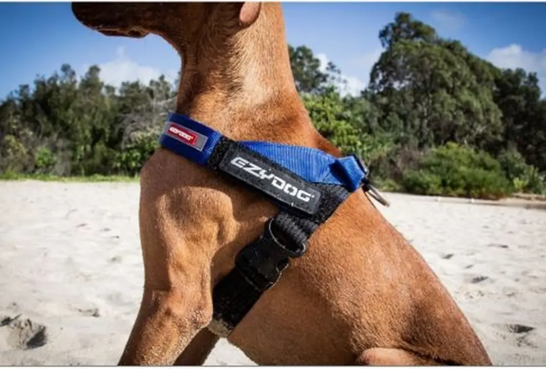 Ezydog Express Hondenharnas M - Roze