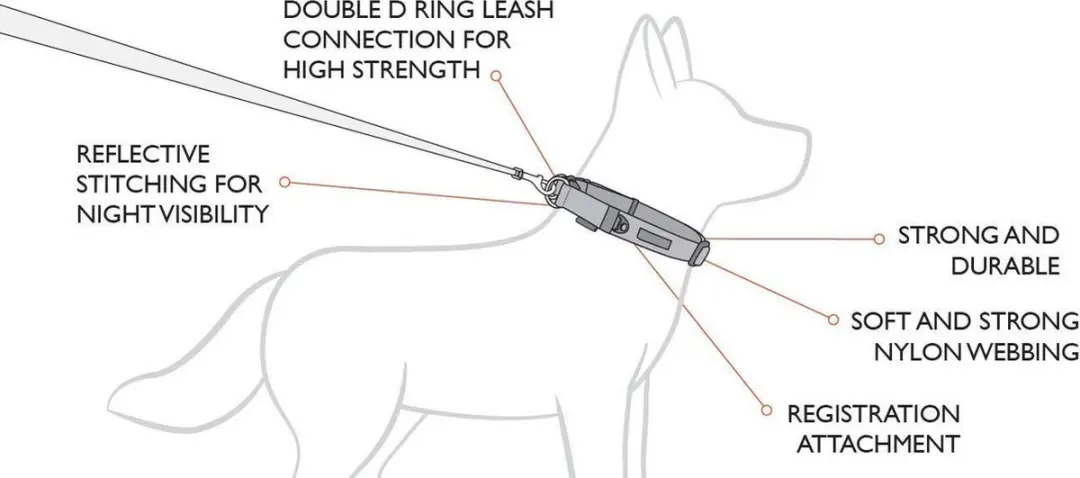 Ezydog Double Up EZ014-01-04 Halsband - Maat XL - Bruin