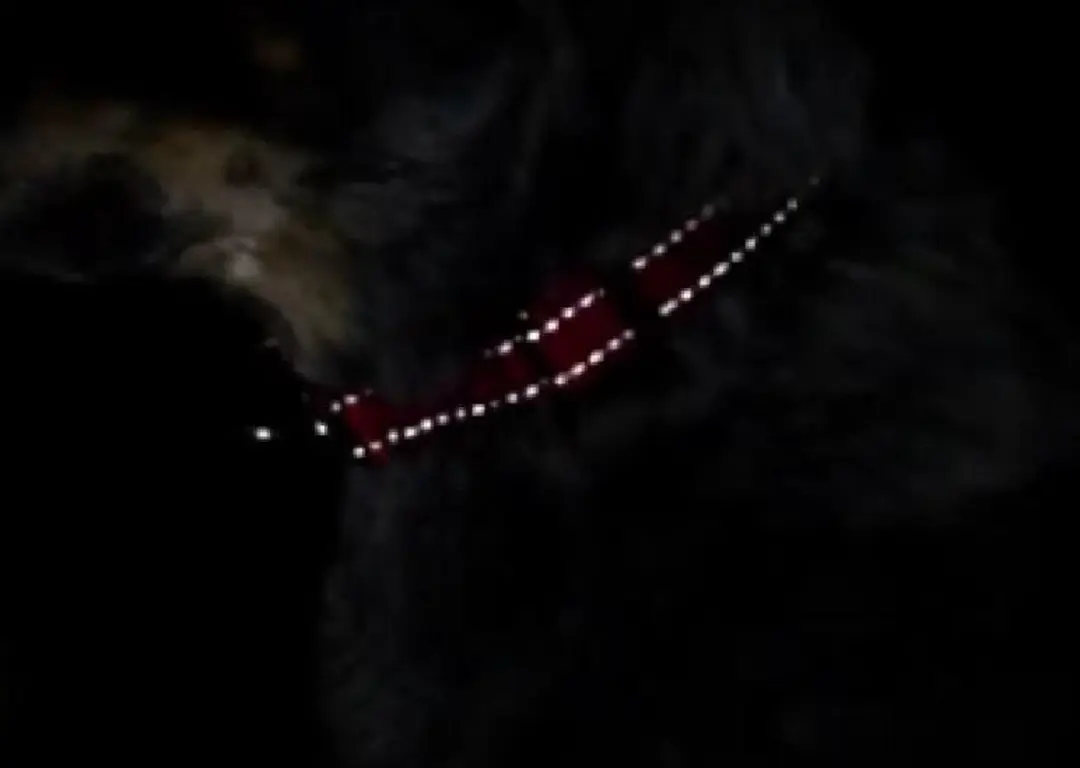 Ezydog Double Up EZ014-01-04 Halsband - Maat XL - Bruin