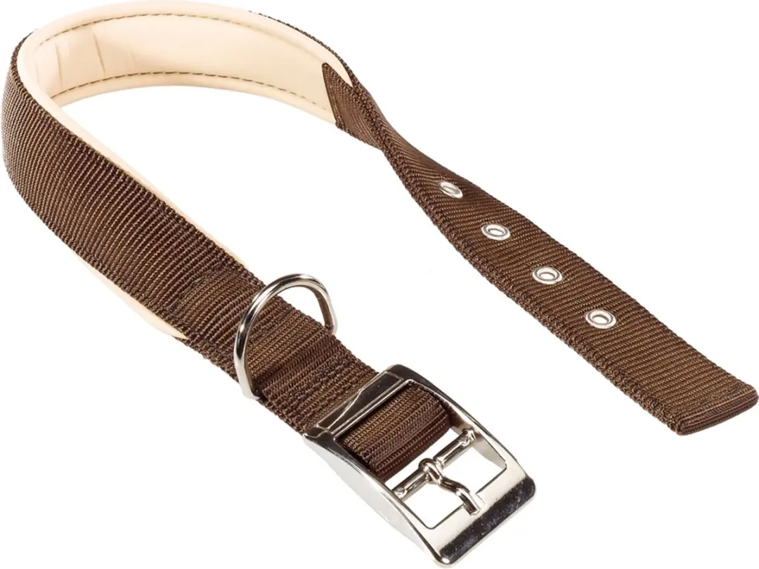 Ferplast Hondenhalsband Daytona 35 x 1,5cm