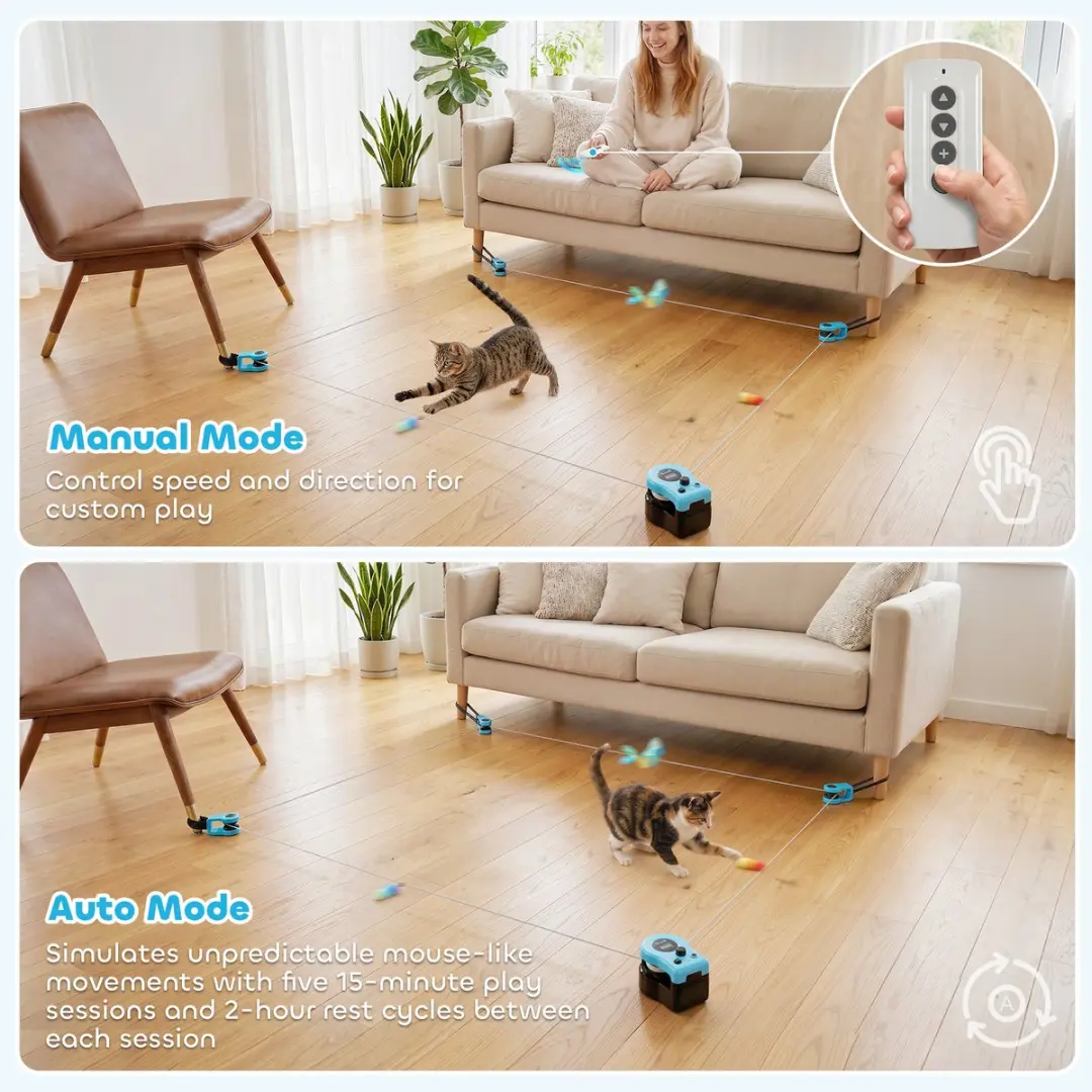 Pawhut Kattenspeelgoedset - 13 Stuks - Zwart