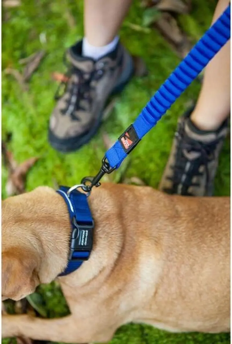 Ezydog Zero Shock Hondenriem 120cm - L - Zwart