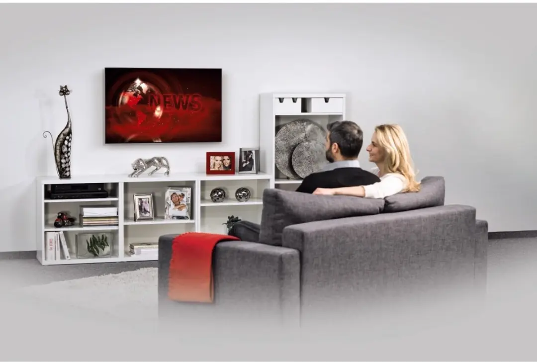 Hama Fix Ultra Plat TV-Muurbeugel 11757 - VESA 100x100/75x75/50x50 - Kleurenmix