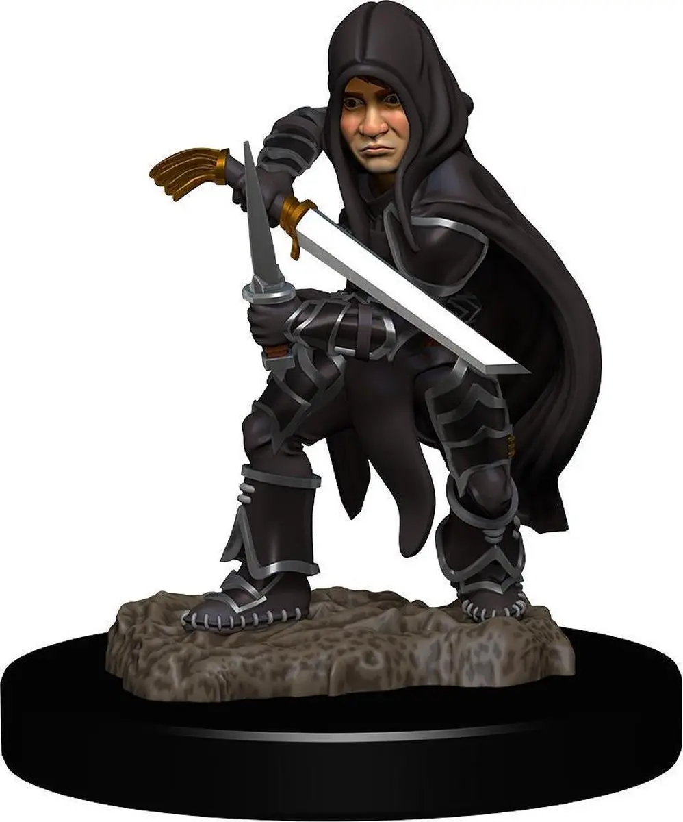Wizkids Nolzur's Marvelous Halfling Male Rogue Miniatuur