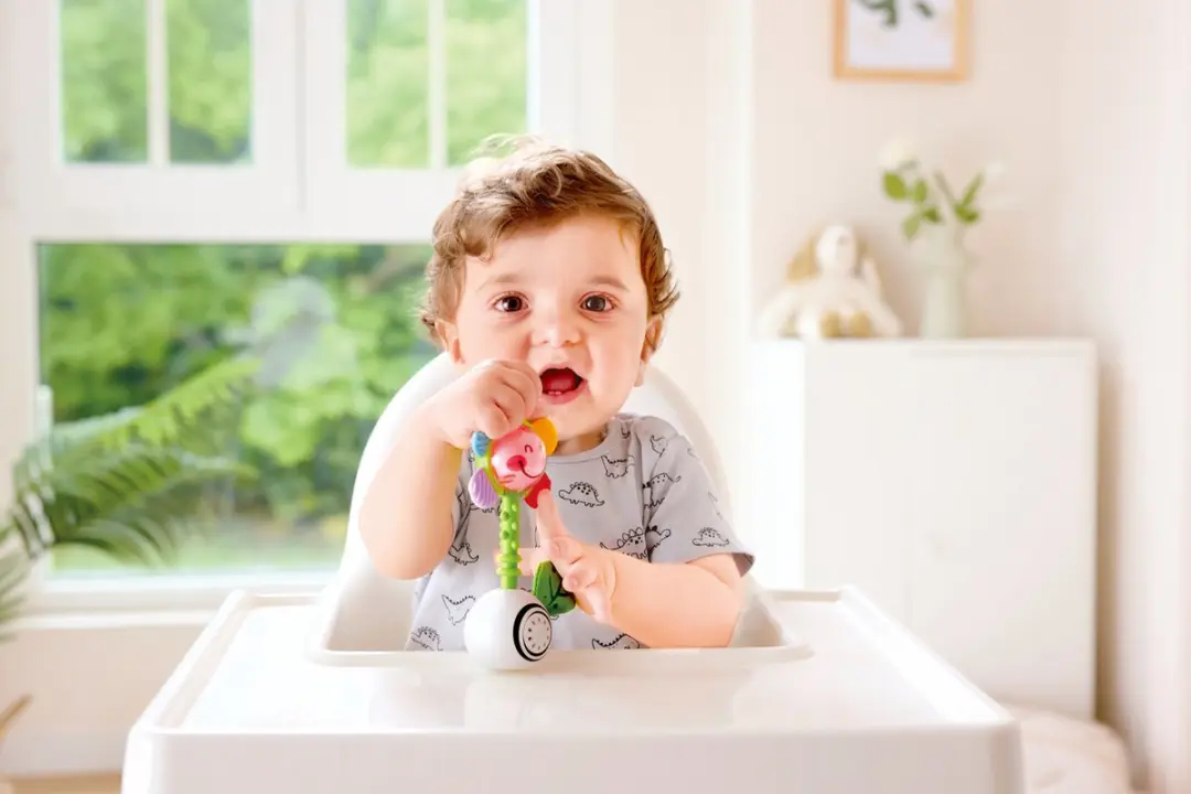 Hape Shake 'n Sparkle Bloemenrammelaar - 3 Batterijen