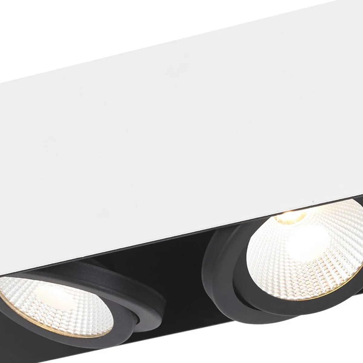 Eglo Vidago Plafondlamp LED 2 Lichtpunten - Wit/Zwart - Dimbaar