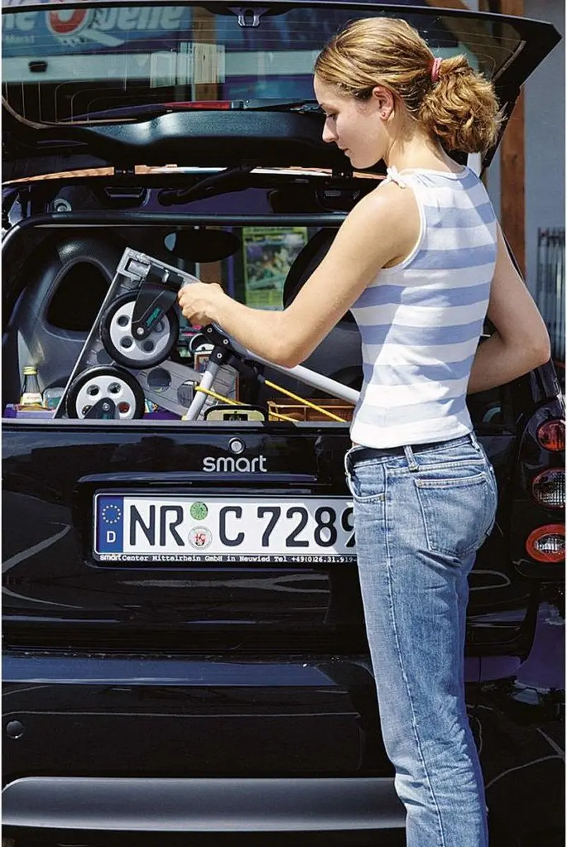 Wolfcraft Steekwagen TS 600 5505000 - Opvouwbaar - Multikleur