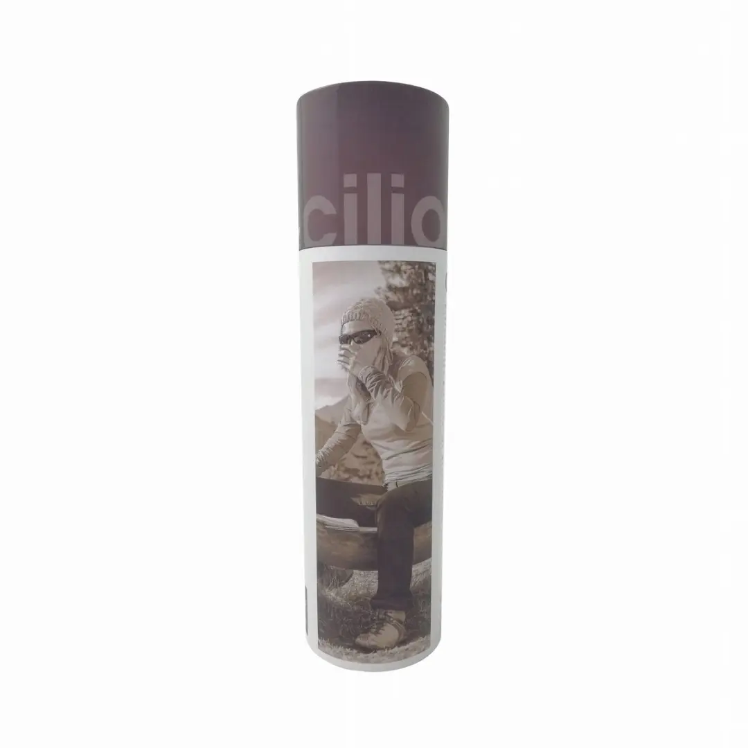 Cilio Elegante Thermosfles RVS 500ml