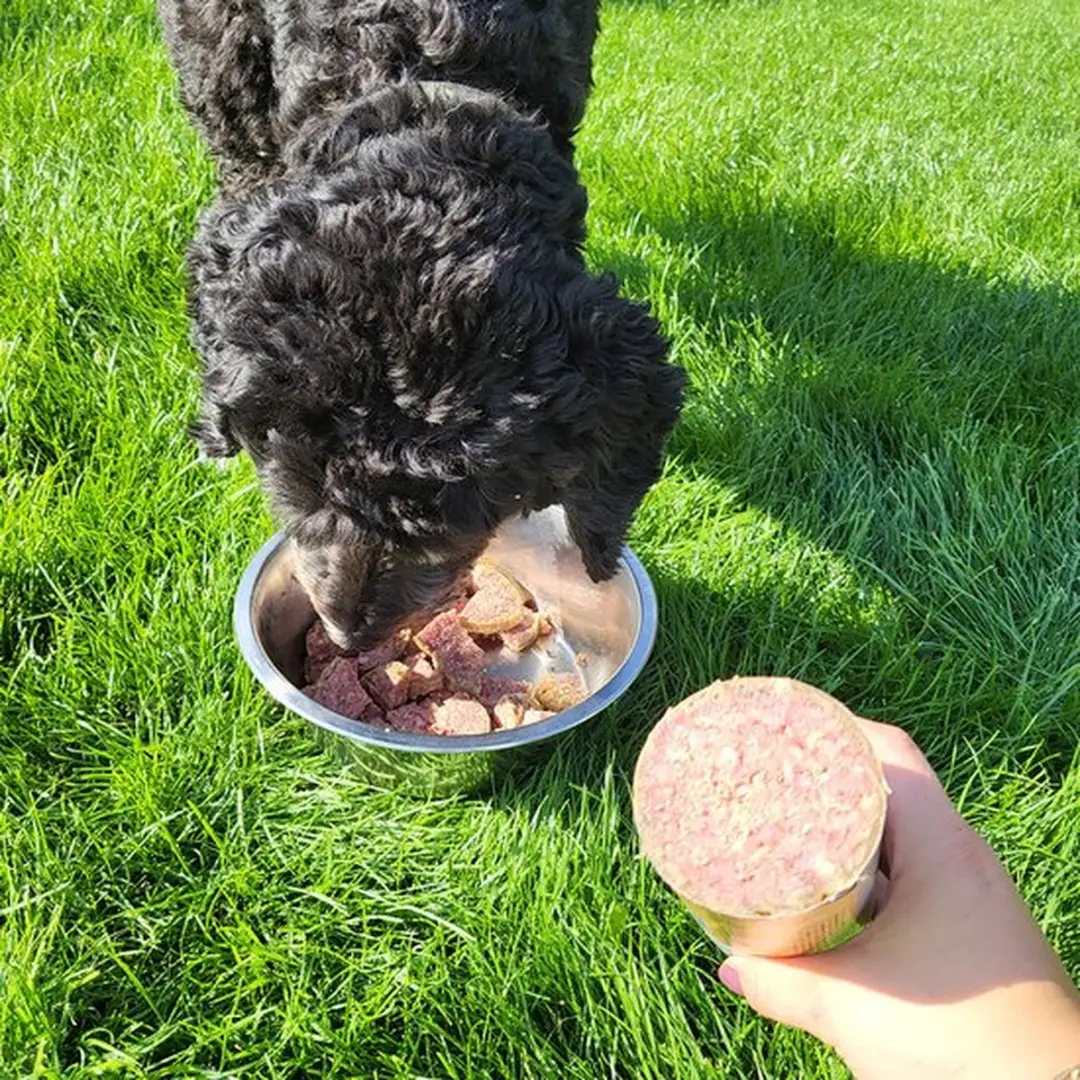 Wooof Hondenworsten Pakket 9 Vers Vlees - 7,8kg