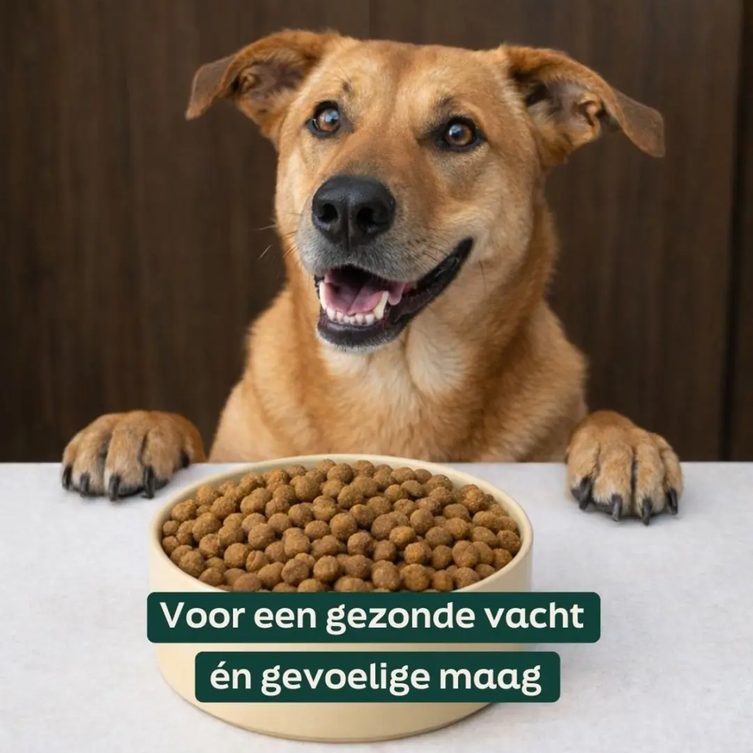 Wooof Zalm Krokant Hondenbrokken 18kg