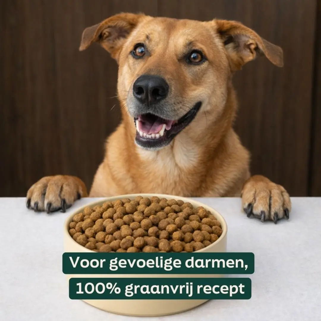 Wooof Lam & Aardappel Krokante Hondenbrokken 18kg