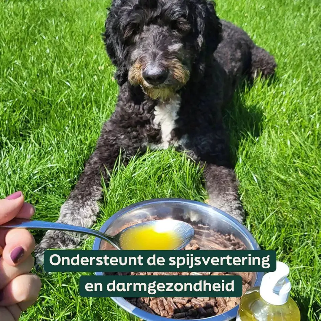 Wooof Schapenvet Olie - 2x1L - Honden Supplement